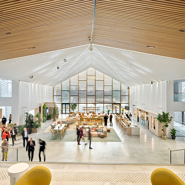 Houten plafonds Deloitte University