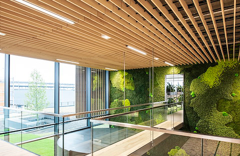 Biophiles Design mit Massivholz