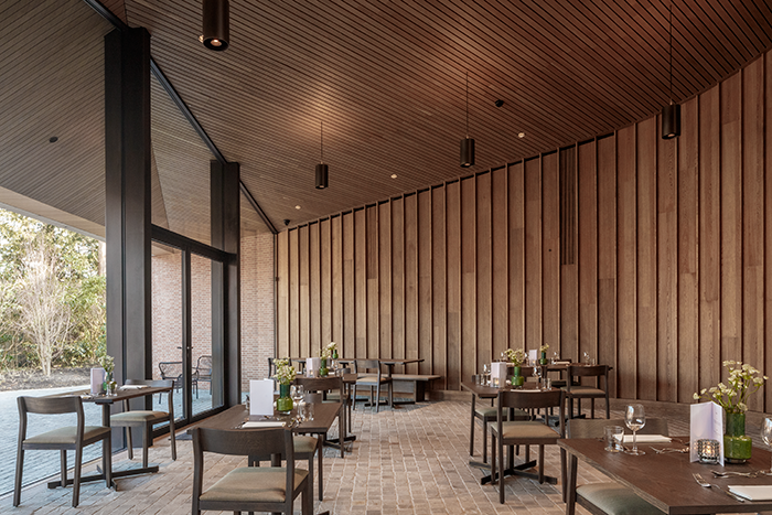Sustainable wood use on International Forest Day