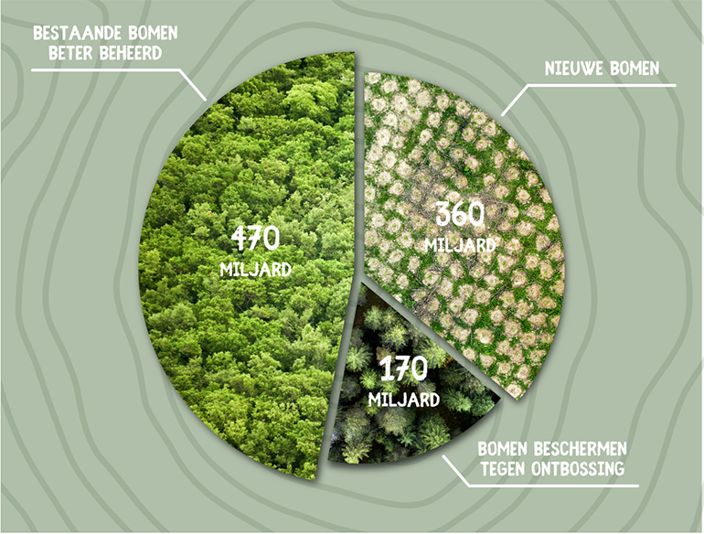 wwf bomen