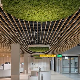 ceiling grill interior