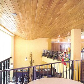 ceiling linear closed interior