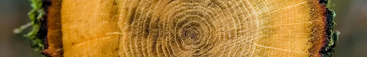 Duurzaam hout