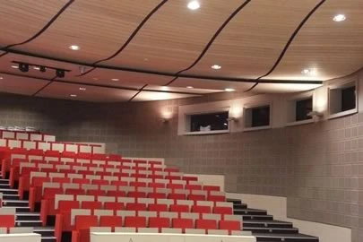 Acoustic Wooden Ceiling