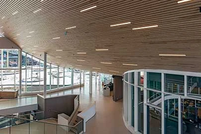 Linear Wooden Ceiling