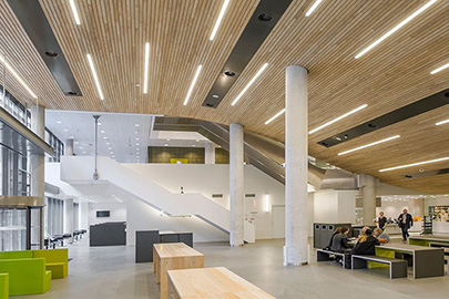 Wooden ceilings