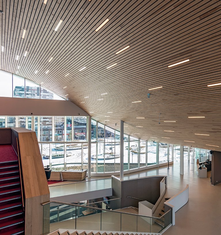 Wooden Ceiling